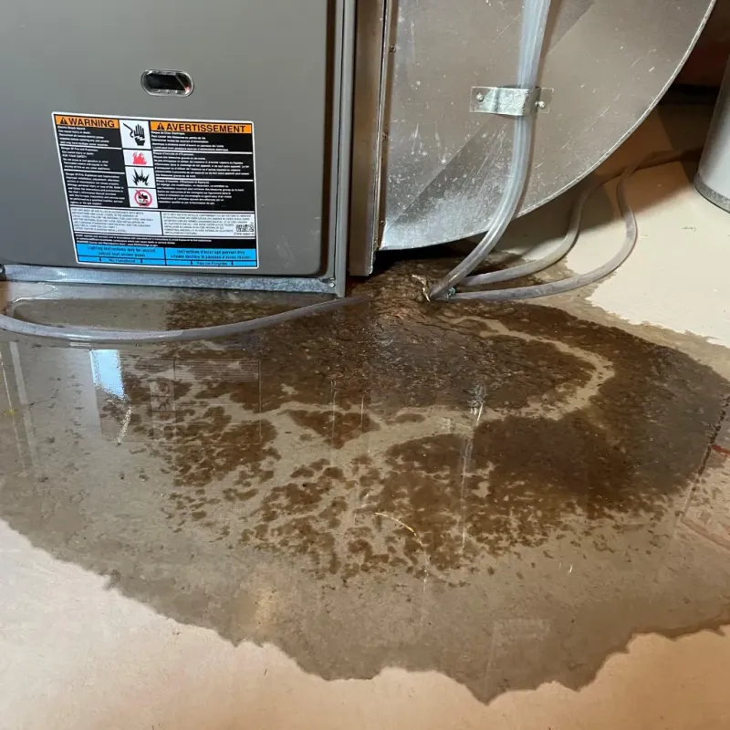 Appliance Leak Cleanup in Iowa Falls, IA